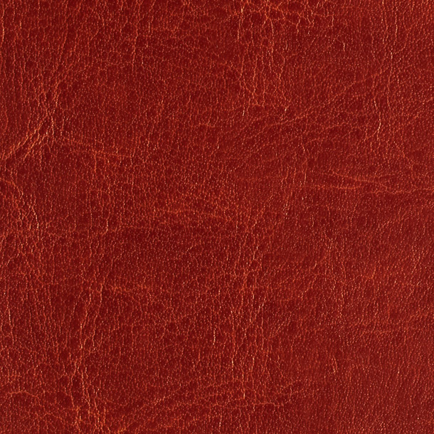 PR4
