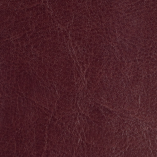 PR7