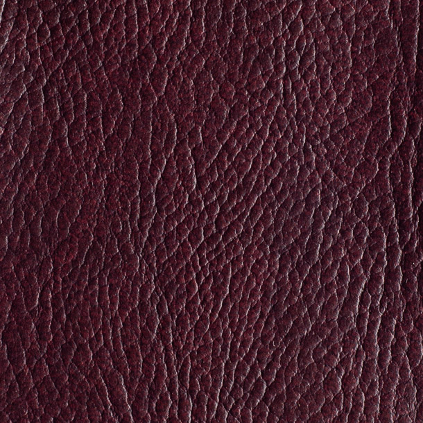 PR13